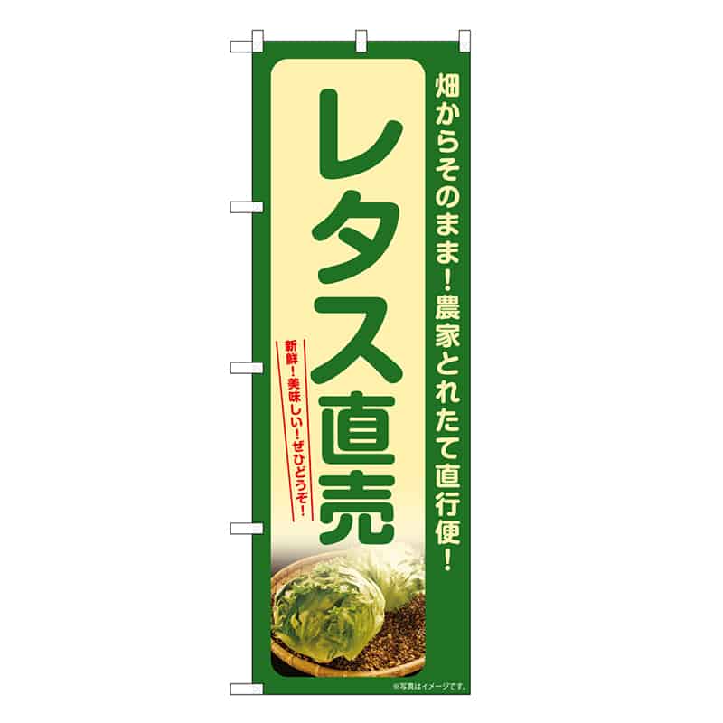 P・O・Pプロダクツ のぼり レタス直売 SNB-7312 1枚（ご注文単位1枚）【直送品】