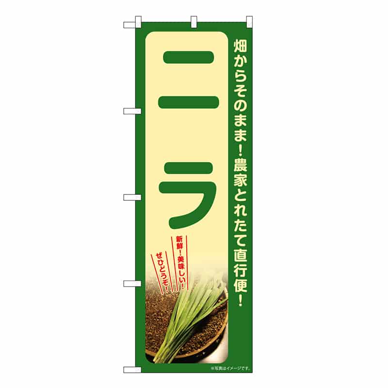 P・O・Pプロダクツ のぼり ニラ SNB-7315 1枚（ご注文単位1枚）【直送品】