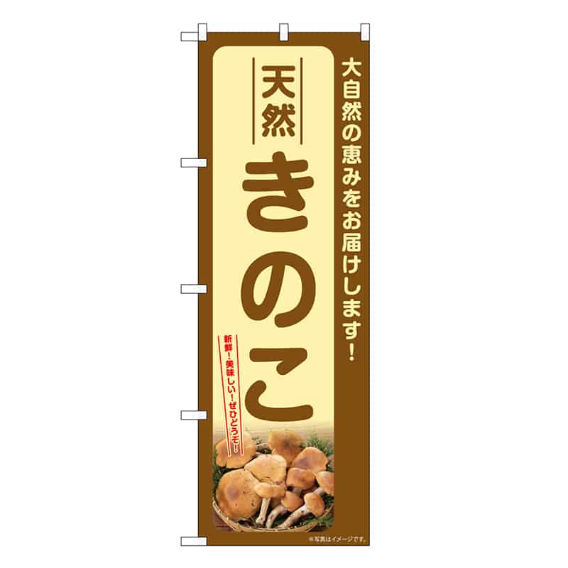 P・O・Pプロダクツ のぼり 天然きのこ SNB-7331 1枚（ご注文単位1枚）【直送品】