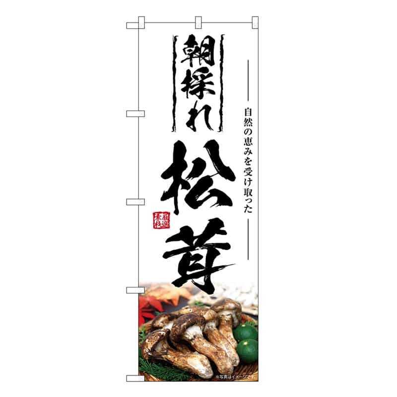 P・O・Pプロダクツ のぼり 松茸 朝採れ SNB-7427 1枚（ご注文単位1枚）【直送品】