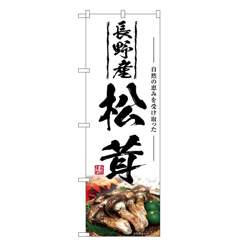 P・O・Pプロダクツ のぼり 長野産松茸 SNB-7442 1枚（ご注文単位1枚）【直送品】