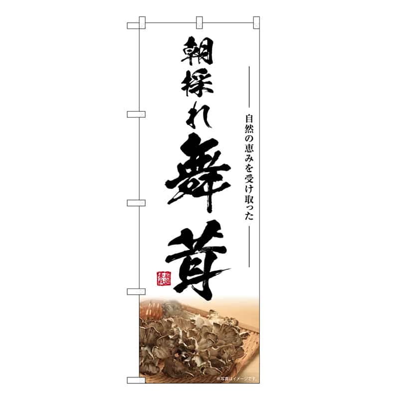 P・O・Pプロダクツ のぼり 舞茸 朝採れ SNB-7449 1枚（ご注文単位1枚）【直送品】