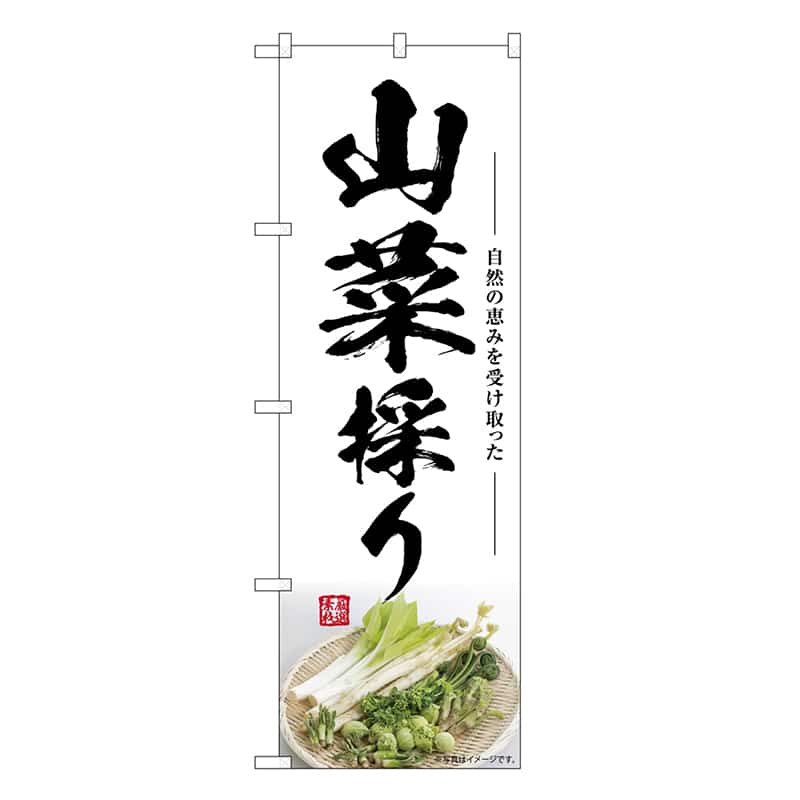 P・O・Pプロダクツ のぼり 山菜採り SNB-7507 1枚（ご注文単位1枚）【直送品】