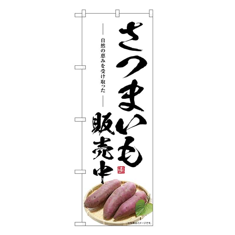 P・O・Pプロダクツ のぼり さつまいも販売中 SNB-7537 1枚（ご注文単位1枚）【直送品】
