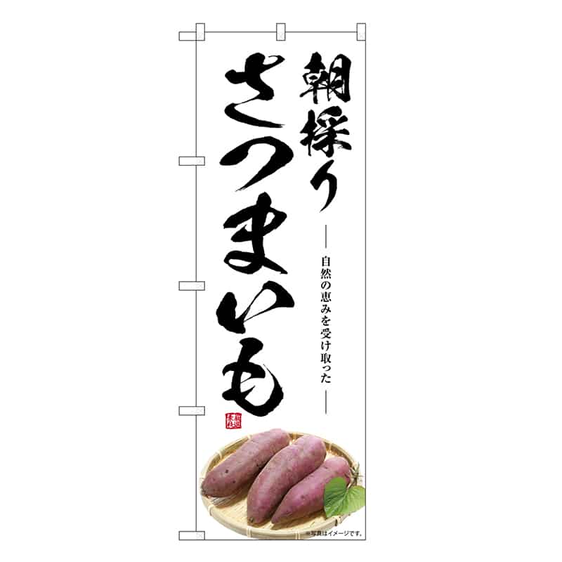 P・O・Pプロダクツ のぼり さつまいも 朝採り SNB-7538 1枚（ご注文単位1枚）【直送品】