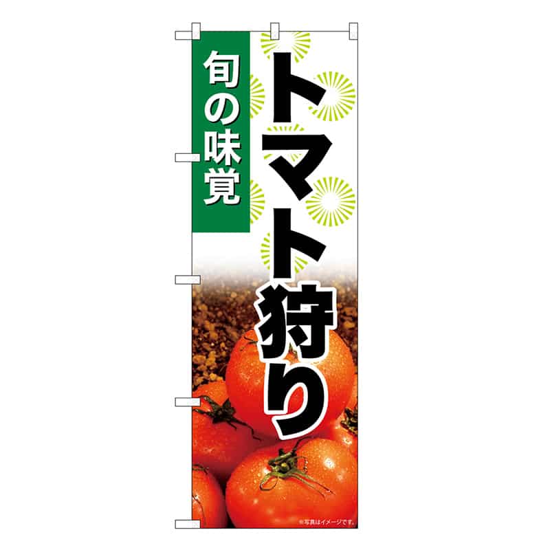 P・O・Pプロダクツ のぼり トマト狩り SNB-7620 1枚（ご注文単位1枚）【直送品】