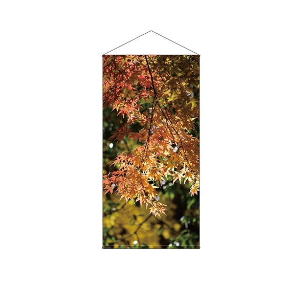紅葉
