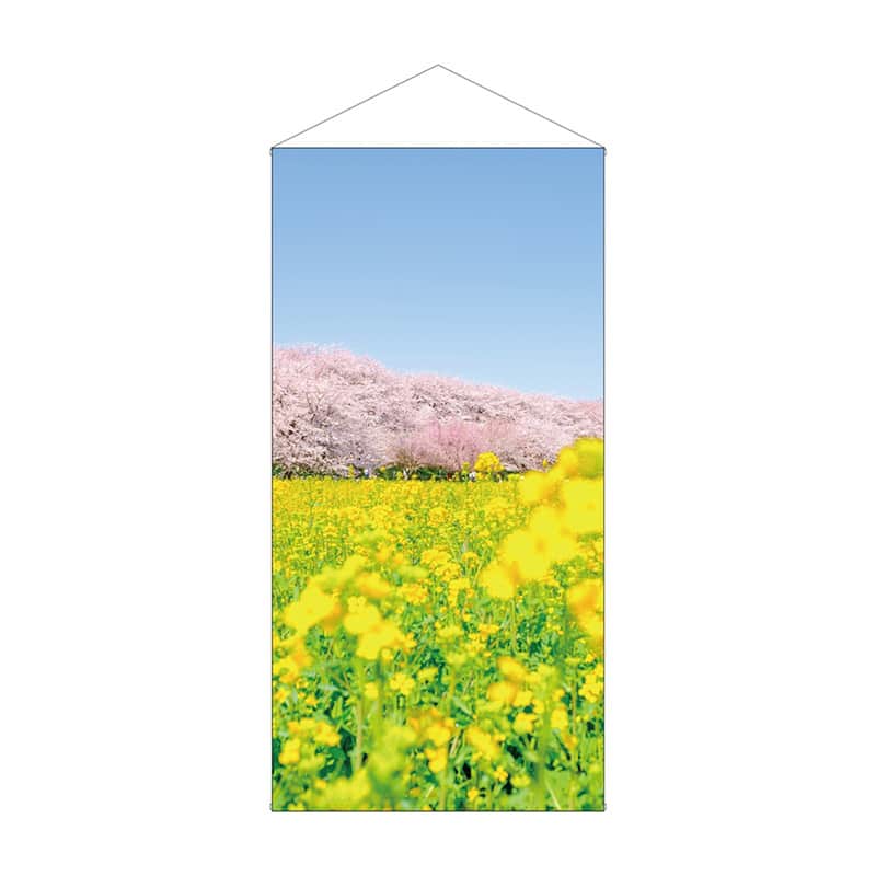 P・O・Pプロダクツ 防炎タペストリー 春 桜と菜の花 55288 1枚(ご注文単位1枚)【直送品】