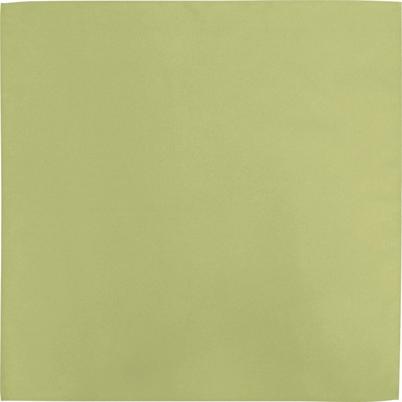 P・O・Pプロダクツ 無地風呂敷 97×97 わかくさ 55975 1枚(ご注文単位1枚)【直送品】