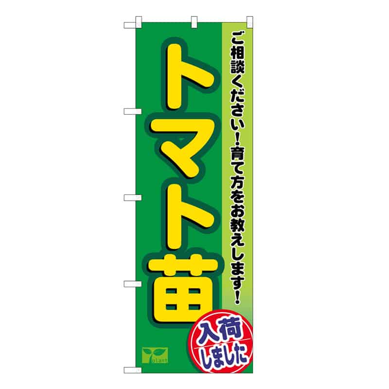 P・O・Pプロダクツ のぼり トマト苗入荷しました 58962 1枚（ご注文単位1枚）【直送品】