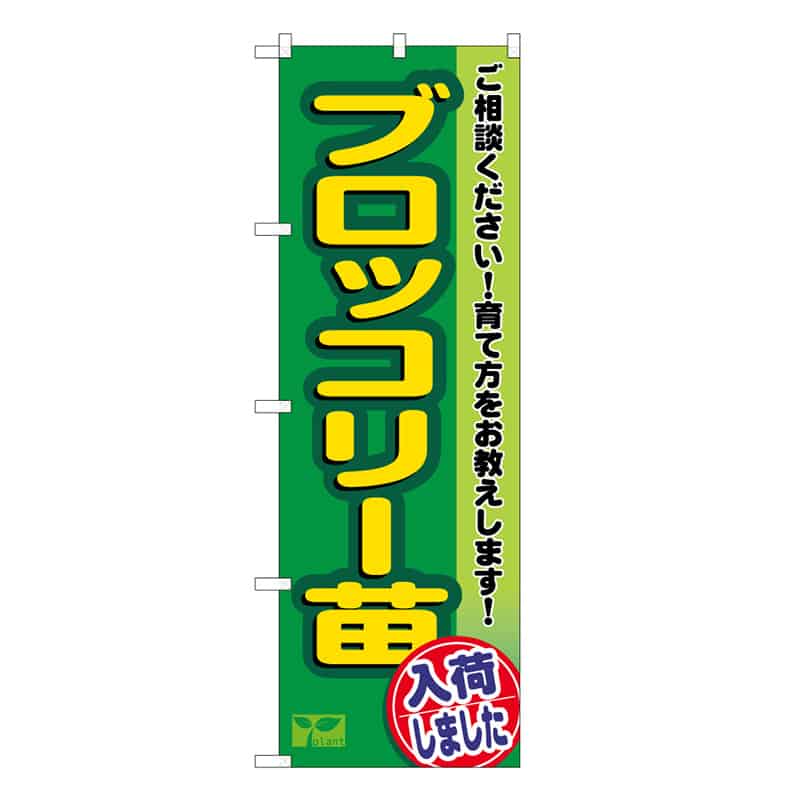 P・O・Pプロダクツ のぼり ブロッコリー苗入荷しました 58977 1枚(ご注文単位1枚)【直送品】