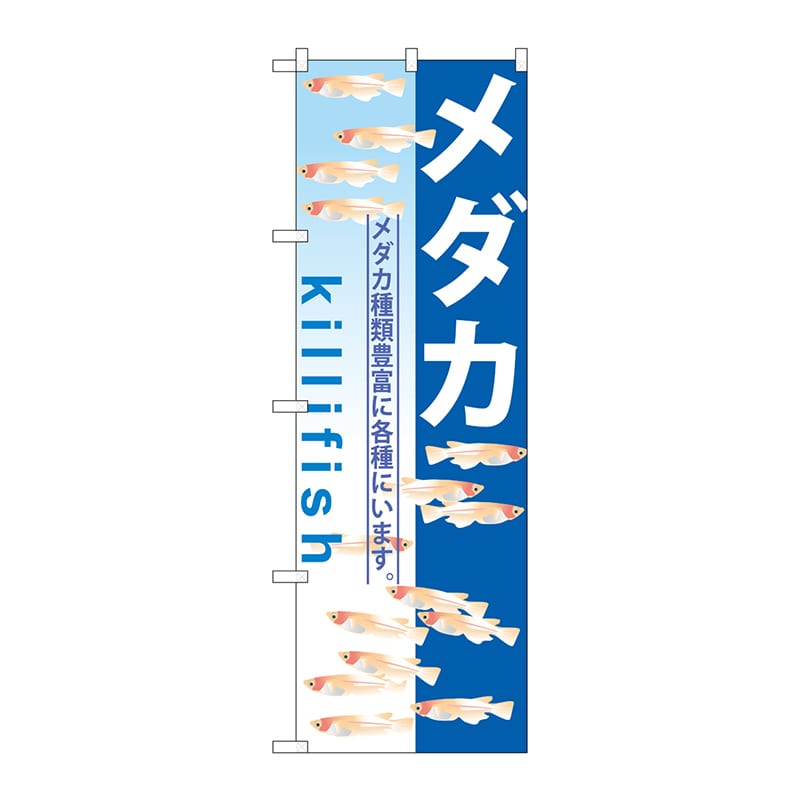 P・O・Pプロダクツ のぼり  GNB-571　メダカ 1枚（ご注文単位1枚）【直送品】