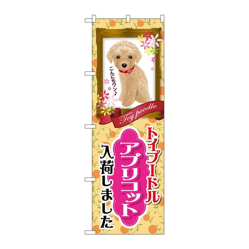 P・O・Pプロダクツ のぼり GNB-2455トイプードルアプリコット 1枚(ご注文単位1枚)【直送品】