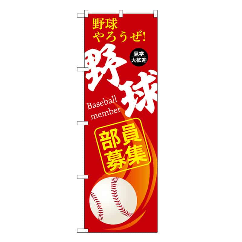 P・O・Pプロダクツ のぼり 野球部員募集 赤 GNB-3366 1枚（ご注文単位1枚）【直送品】