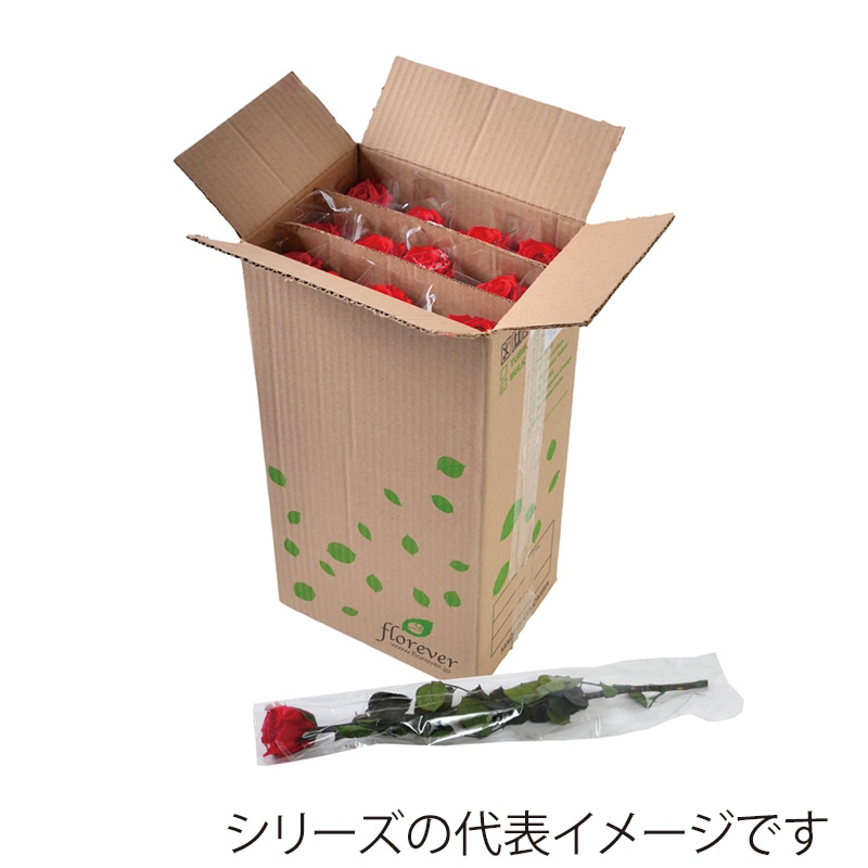 フロールエバー プリザーブドフラワー　スタンダードローズ　ステム付 スリーブ入り　ホットピンク FL013-08 12本/箱（ご注文単位1箱）【直送品】