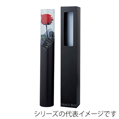 フロールエバー プリザーブドフラワー グレースローズ ステム付 パールホワイト FL092-01 1本(ご注文単位1本)【直送品】