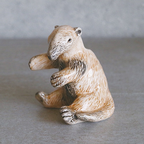 TAMANDUA