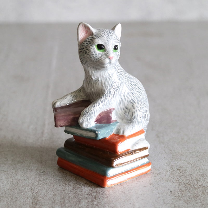 BOOK AND CAT