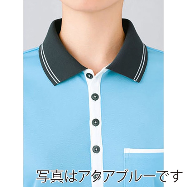 カーシーカシマ ポロシャツ 男女共用 LL アップルグリーン HM2179 1枚（ご注文単位1枚）【直送品】