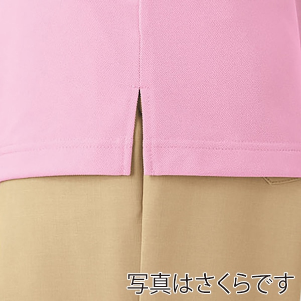 カーシーカシマ 半袖ポロシャツ 男女共用 4L 草原 HM2439 1枚（ご注文単位1枚）【直送品】