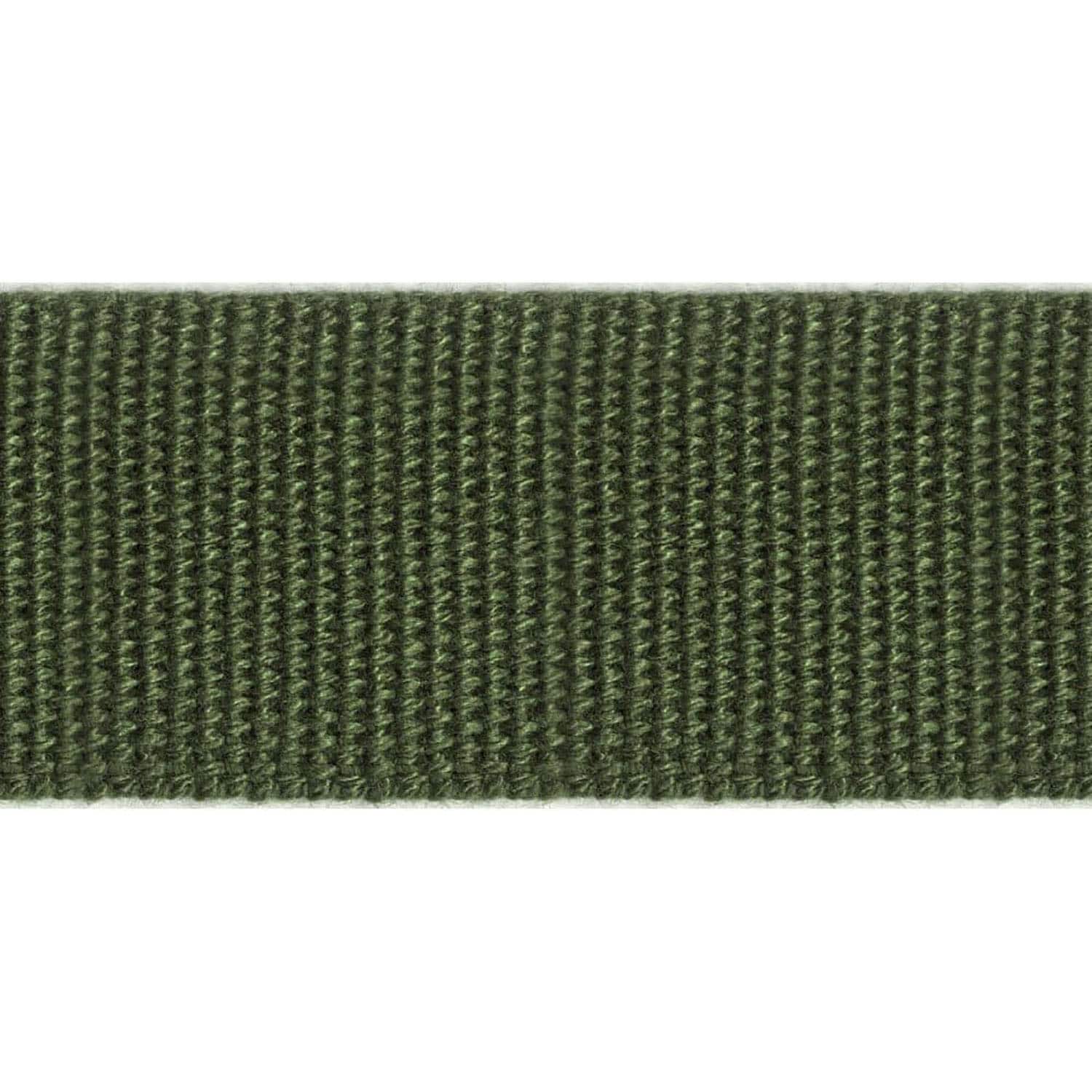 日本紐釦貿易 クラシック織りテープ 25mm幅×10m巻 グリーン BB250-10M-512 （ご注文単位1巻）【直送品】