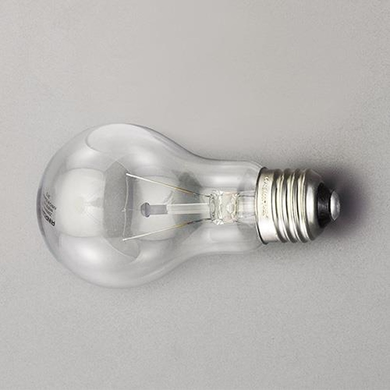 エスコ EA758XK-102 100V/100W/E26白熱電球(クリア) 1個（ご注文単位1個）【直送品】