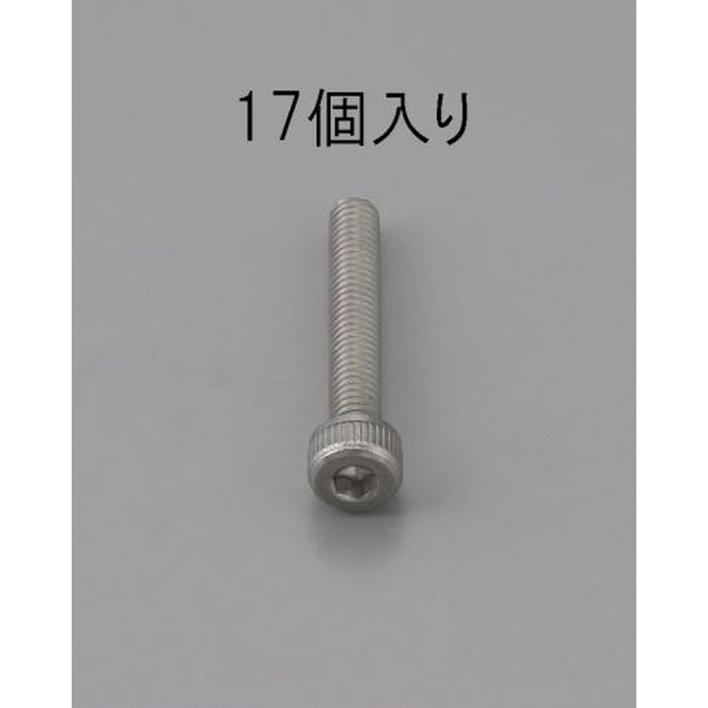 エスコ EA949MB-610 M6x10mm六角穴付ボルト(ステンレス製/17本) 1個（ご注文単位1個）【直送品】