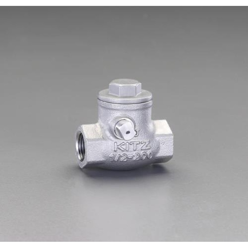 エスコ EA465AA-6 3/4”スイングチャッキバルブ 1個（ご注文単位1個）【直送品】