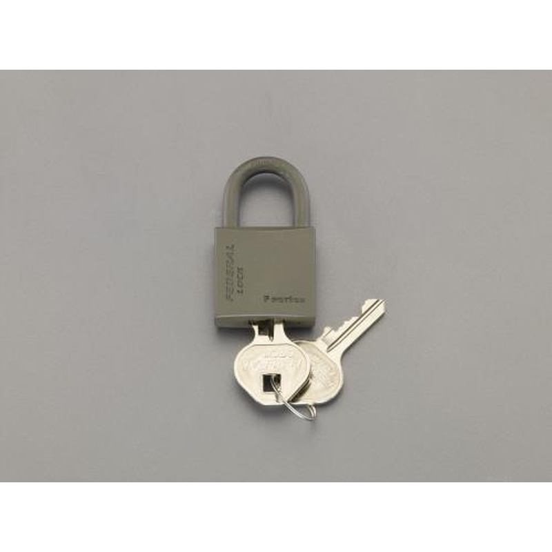 エスコ EA983SG-230 30mmシリンダー南京錠(OD色) 1個（ご注文単位1個）【直送品】