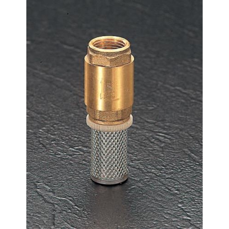 エスコ EA465LS-20 G2”ストレーナー付逆止弁 1個(ご注文単位1個)【直送品】