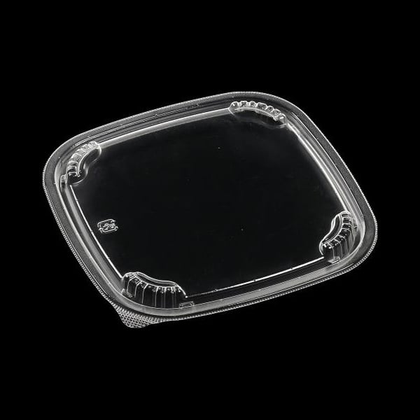 エフピコ 冷麺容器 APオルカク 内低蓋L 17-17 100枚/袋（ご注文単位9袋）【直送品】