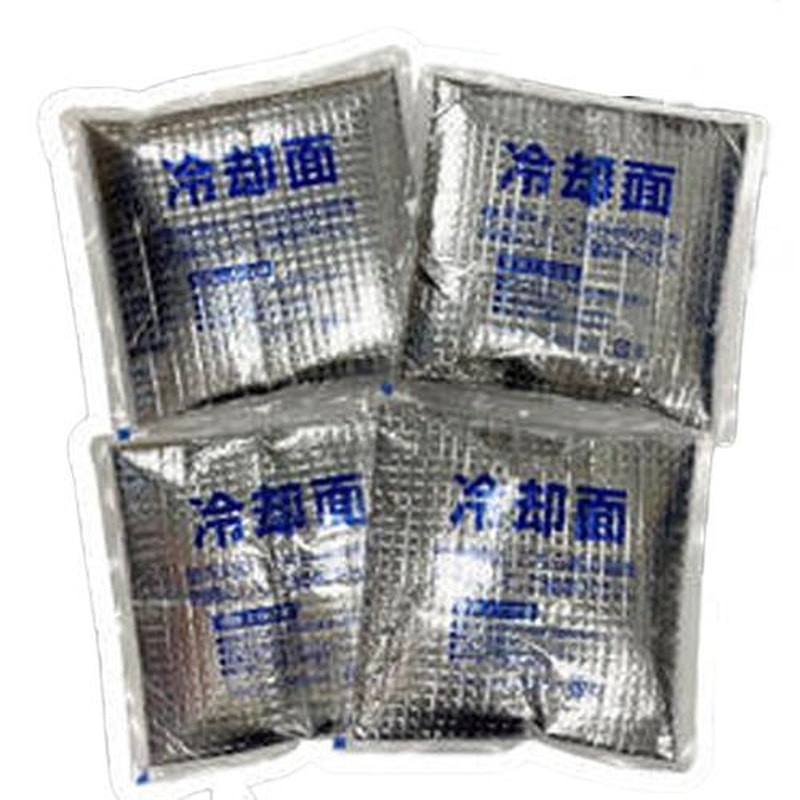 エスコ EA917H-22 165x160x15mm保冷剤(4個) 1個(ご注文単位1個)【直送品】