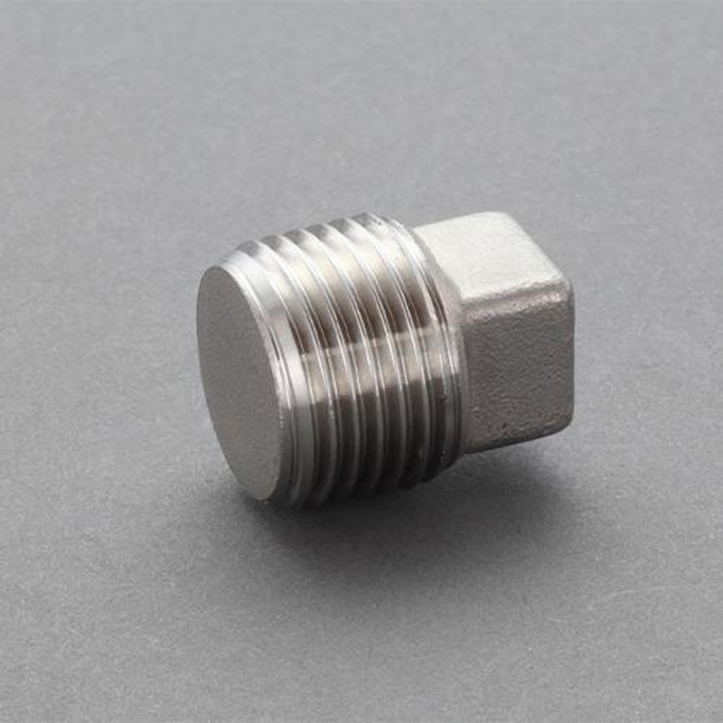 エスコ EA469AL-25A R2・1/2”プラグ(ステンレス製) 1個(ご注文単位1個)【直送品】