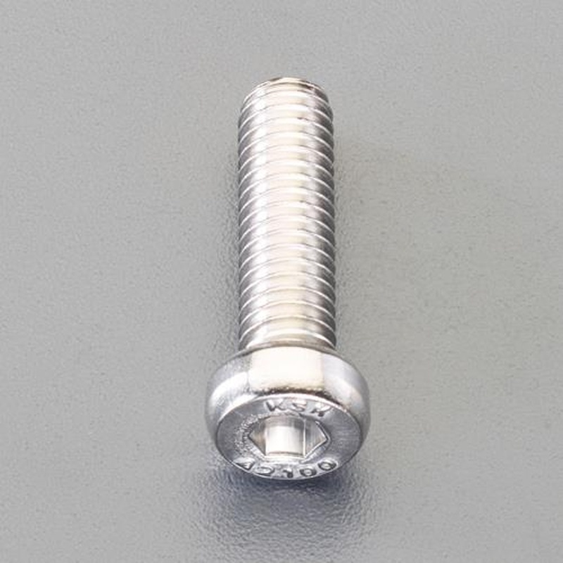 エスコ EA949MY-1015 M10x15mm［A2-100]低頭六角穴付ボルト(SUS/1本 1個（ご注文単位1個）【直送品】