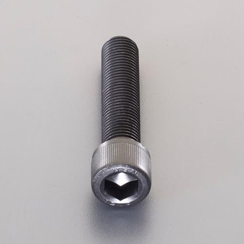 エスコ EA949LZ-66 M6x30mm/P0.75六角穴付ボルト(細目/2本) 1個(ご注文単位1個)【直送品】