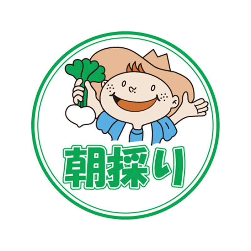 スーパーテック SLラベル 朝採り 41-3673 1冊（ご注文単位5冊）【直送品】