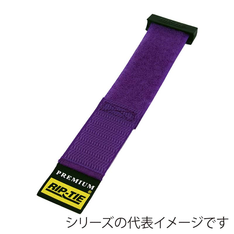 紫