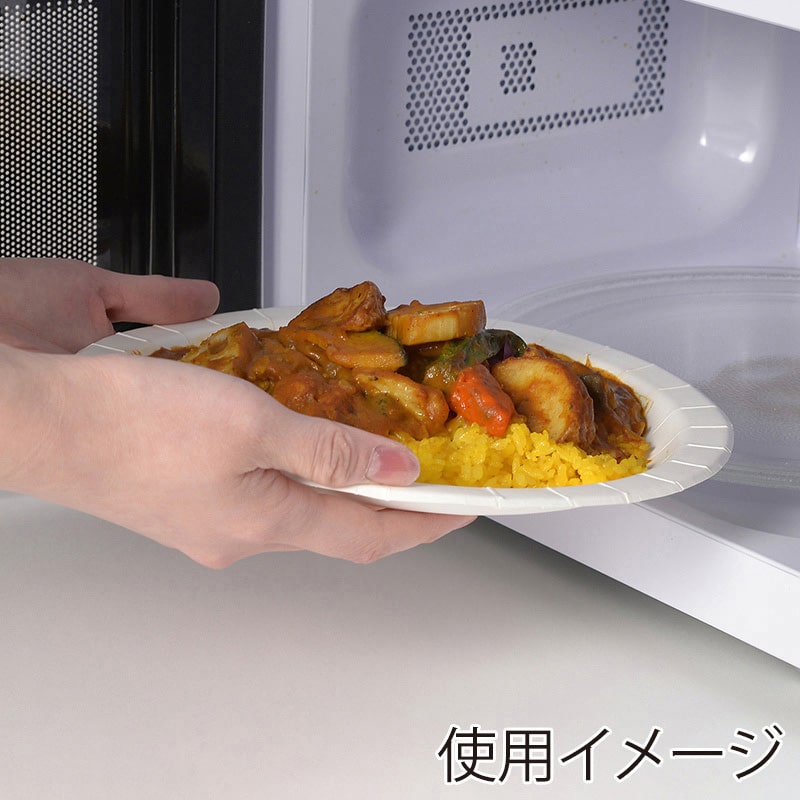 ストリックスデザイン タフペーパープレート 22cm 50枚入 SD-192 1束（ご注文単位12束）【直送品】