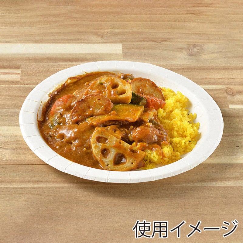ストリックスデザイン タフペーパープレート 22cm 50枚入 SD-192 1束（ご注文単位12束）【直送品】