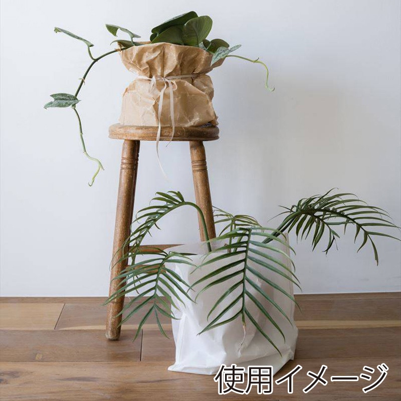 星野 紙袋 ロカバッグ 6寸 2色アソート 10枚入 314601 1箱(ご注文単位1箱)【直送品】