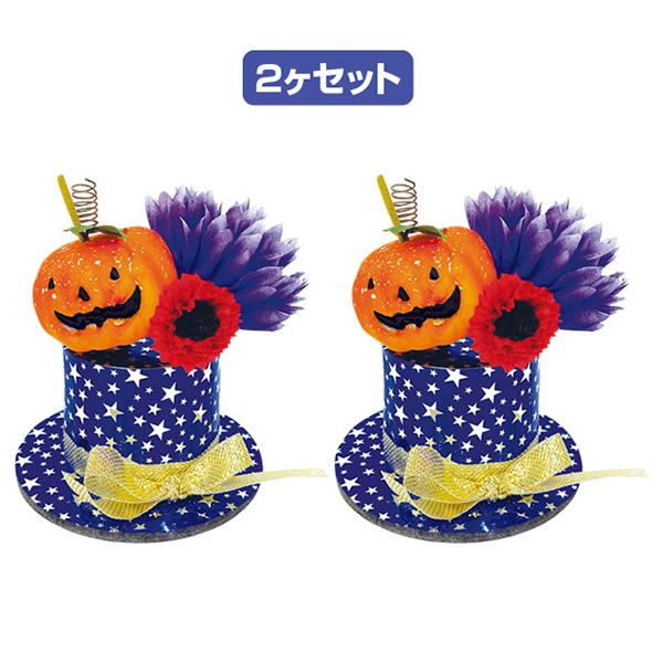 アルファ パンプキンハット 2個セット TE4-1104 1セット（ご注文単位1セット）【直送品】
