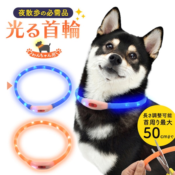 プラタ 犬用 光る首輪 50cm ブルー pt1-102 1個（ご注文単位1個）【直送品】