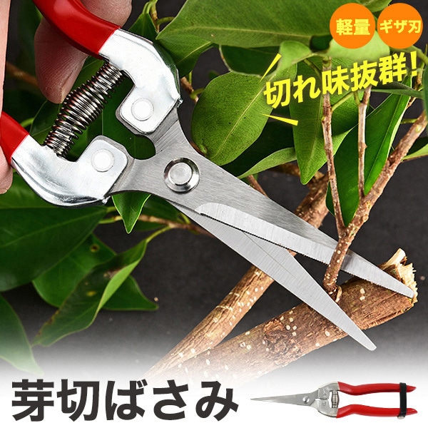 プラタ 芽切ばさみ pt1-173 1個(ご注文単位1個)【直送品】