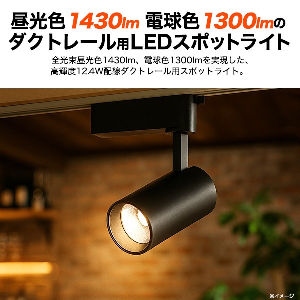 プラタ LEDダクトレールスポットライト ブラック本体 昼光色 led188cw-bk 1台(ご注文単位1台)【直送品】
