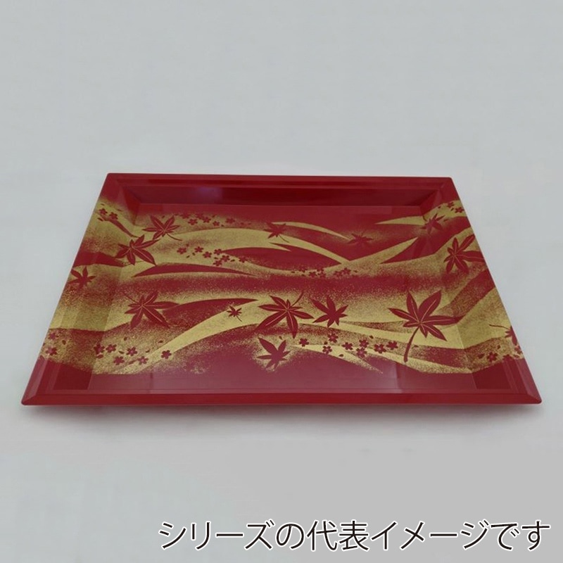 赤華連