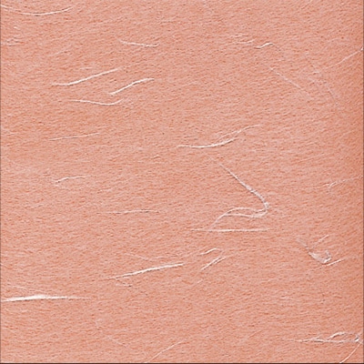 オレンジ