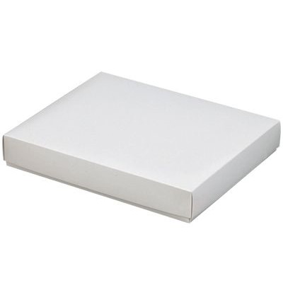 cotta ピュアホワイト　大 大 8180 1枚（ご注文単位10枚）【直送品】