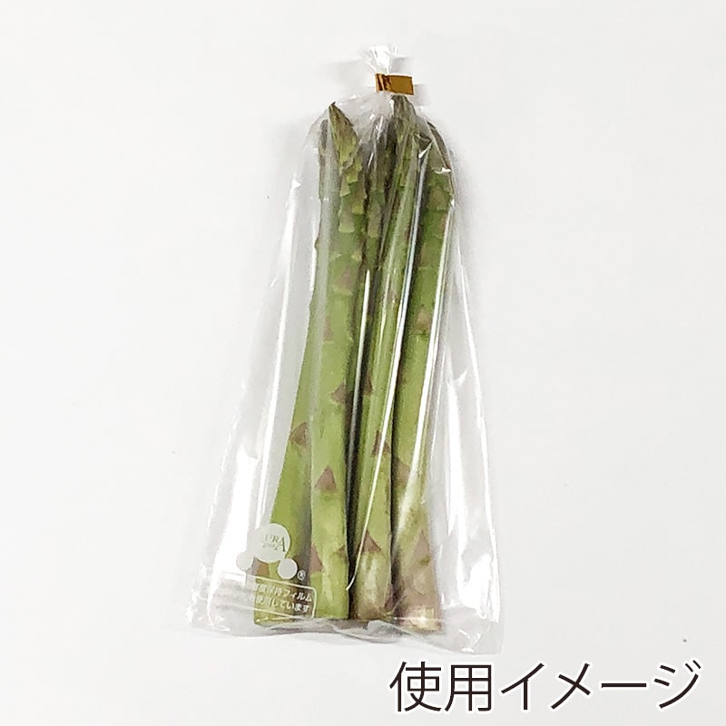 ベルグリーンワイズ 鮮度保持袋 オーラパック 規格品 9号 2381 100枚/袋（ご注文単位50袋）【直送品】
