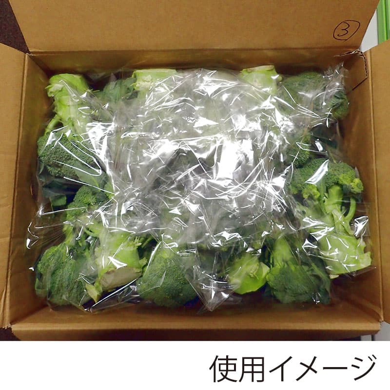 ベルグリーンワイズ 鮮度保持袋 オーラパック大袋 規格品 7663 51239 100枚/袋（ご注文単位5袋）【直送品】