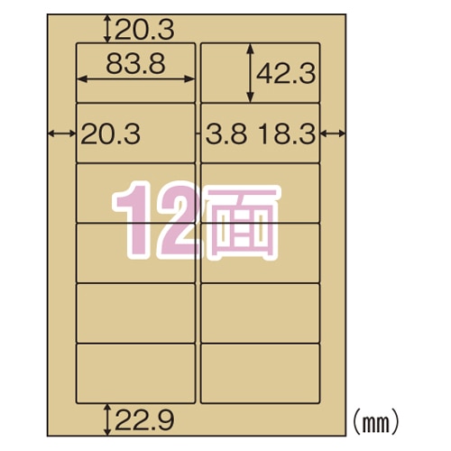 OPC861 クラフト紙ラベルライト 12面 20シート/パック (ご注文単位1パック)【直送品】